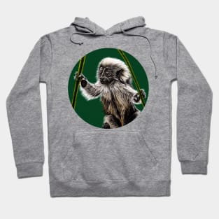 Baby cotton-top tamarin Hoodie